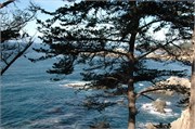 Big Sur_2